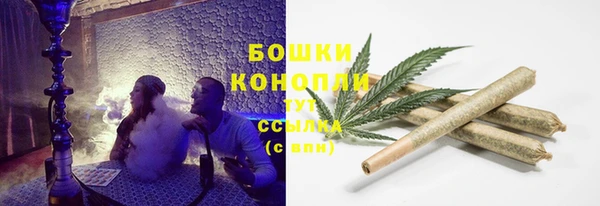 СК Верея